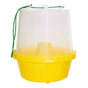 4INSECTS - PROFESSIONAL MONITORING AND PEST CONTROL - WASP TRAP PRO